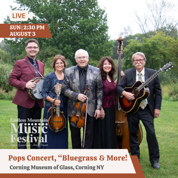 pops concert